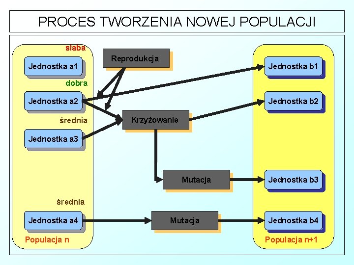 PROCES TWORZENIA NOWEJ POPULACJI słaba Jednostka a 1 Reprodukcja Jednostka b 1 dobra Jednostka