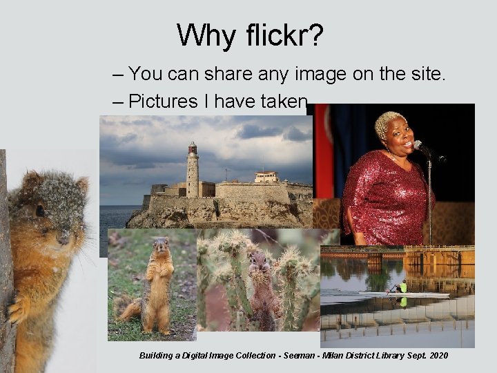 Why flickr? – You can share any image on the site. – Pictures I