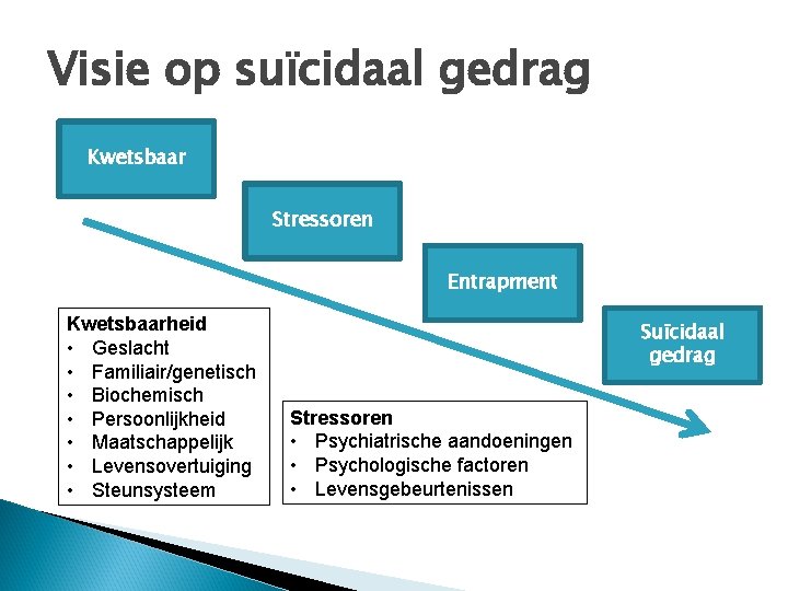 Visie op suïcidaal gedrag Kwetsbaar Stressoren Entrapment Kwetsbaarheid • Geslacht • Familiair/genetisch • Biochemisch