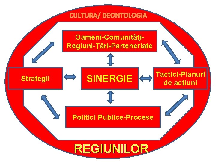 CULTURA/ DEONTOLOGIA Oameni-Comunităţi. Regiuni-Ţări-Parteneriate Strategii SINERGIE C Politici Publice-Procese REGIUNILOR Tactici-Planuri de acţiuni 