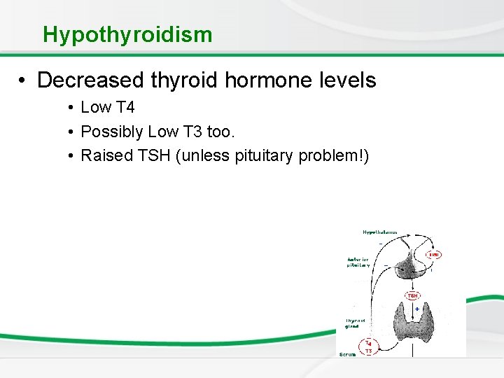 Hypothyroidism • Decreased thyroid hormone levels • Low T 4 • Possibly Low T Hypothyroidism • Decreased thyroid hormone levels • Low T 4 • Possibly Low T