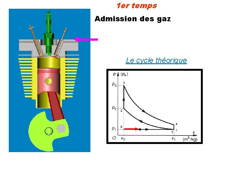 1 er temps Admission des gaz Le cycle théorique 