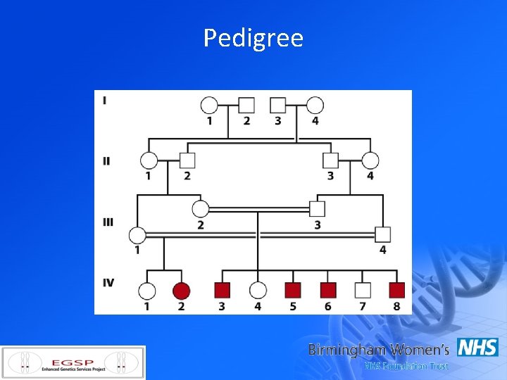 Pedigree 