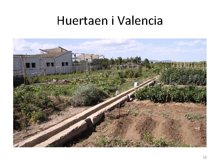 Huertaen i Valencia 18 Huertaen i Valencia 18