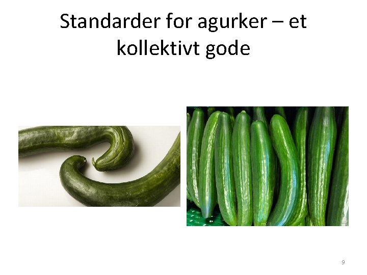 Standarder for agurker – et kollektivt gode 9 Standarder for agurker – et kollektivt gode 9