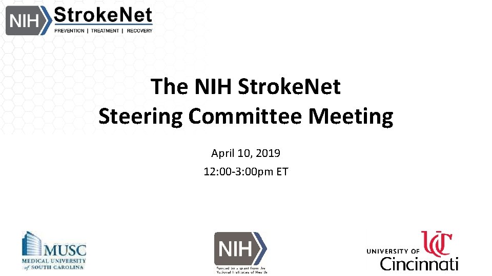 The NIH Stroke. Net Steering Committee Meeting April 10, 2019 12: 00 -3: 00