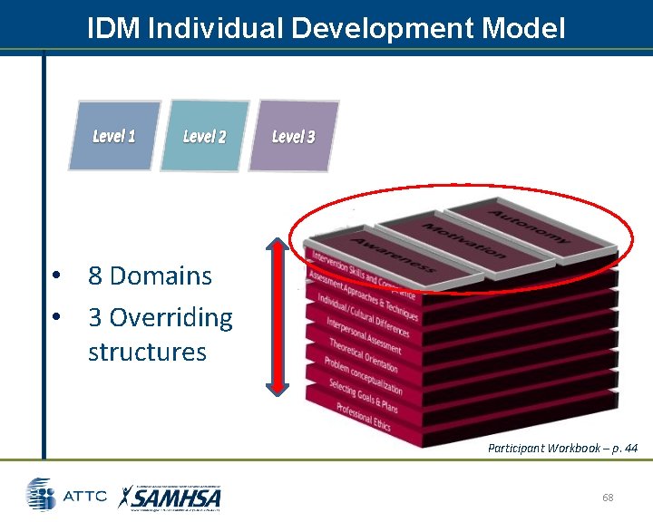 IDM Individual Development Model • 8 Domains • 3 Overriding structures Participant Workbook – IDM Individual Development Model • 8 Domains • 3 Overriding structures Participant Workbook –
