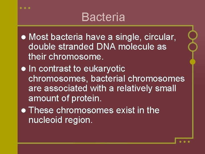 chapter 18 the genetics of viruses and