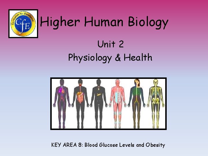 Higher Human Biology Unit 2 Physiology & Health KEY AREA 8: Blood Glucose Levels