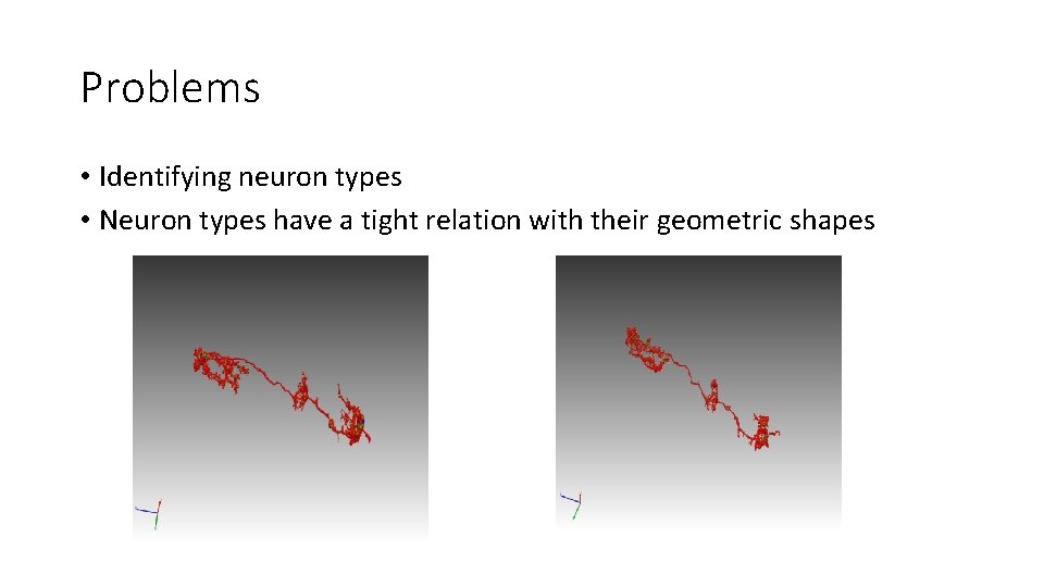 Problems • Identifying neuron types • Neuron types have a tight relation with their