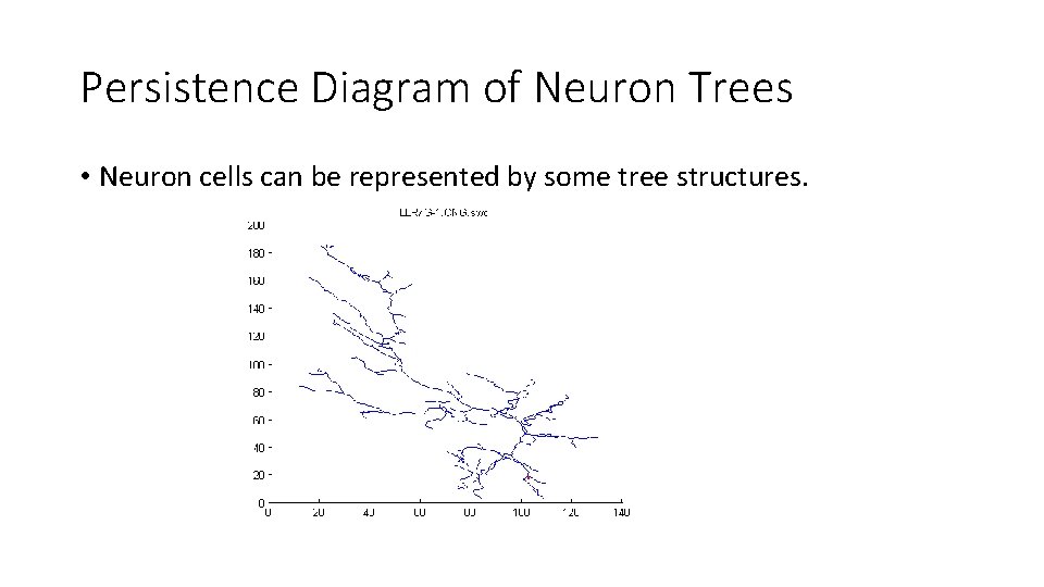 Persistence Diagram of Neuron Trees • Neuron cells can be represented by some tree