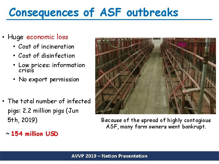 Consequences of ASF outbreaks • Huge economic loss • Cost of incineration • Cost
