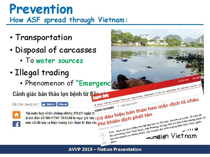 Prevention How ASF spread through Vietnam: • Transportation • Disposal of carcasses • To