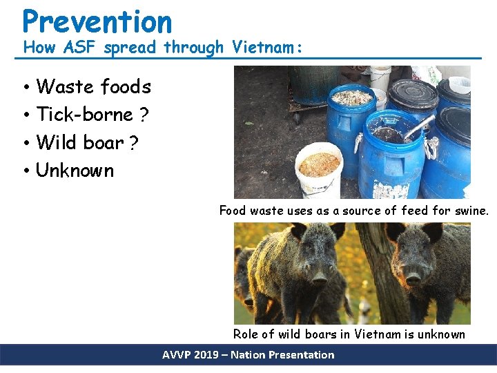 Prevention How ASF spread through Vietnam: • Waste foods • Tick-borne ? • Wild