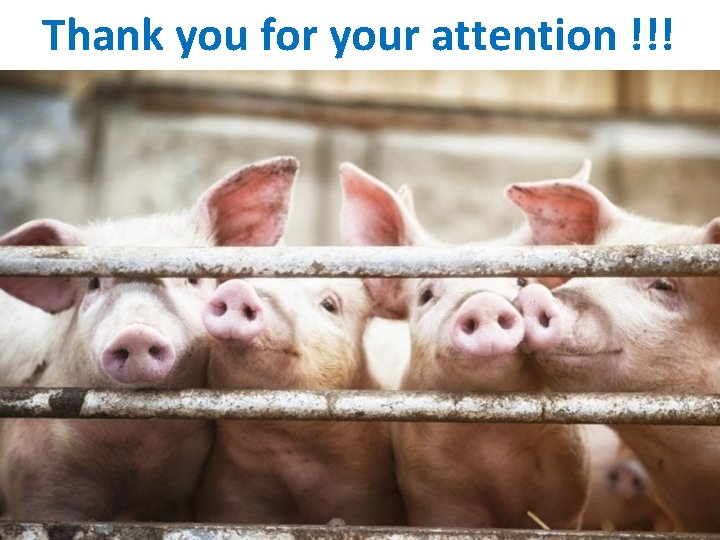 Thank you for your attention !!! 