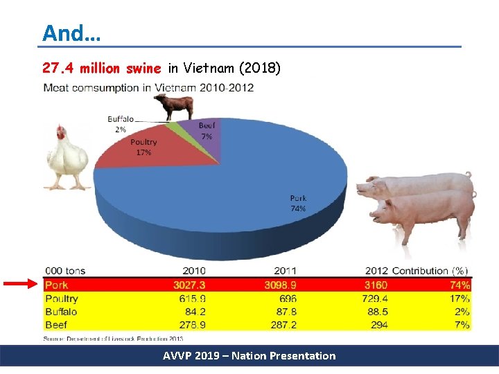 And… 27. 4 million swine in Vietnam (2018) AVVP 2019 – Nation Presentation 