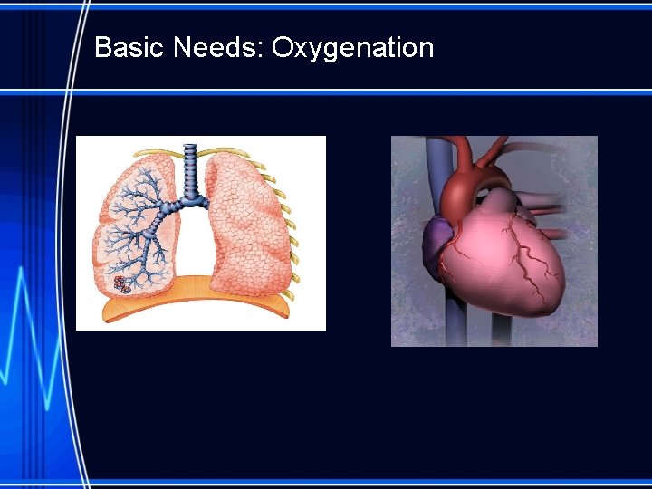 Basic Needs: Oxygenation 