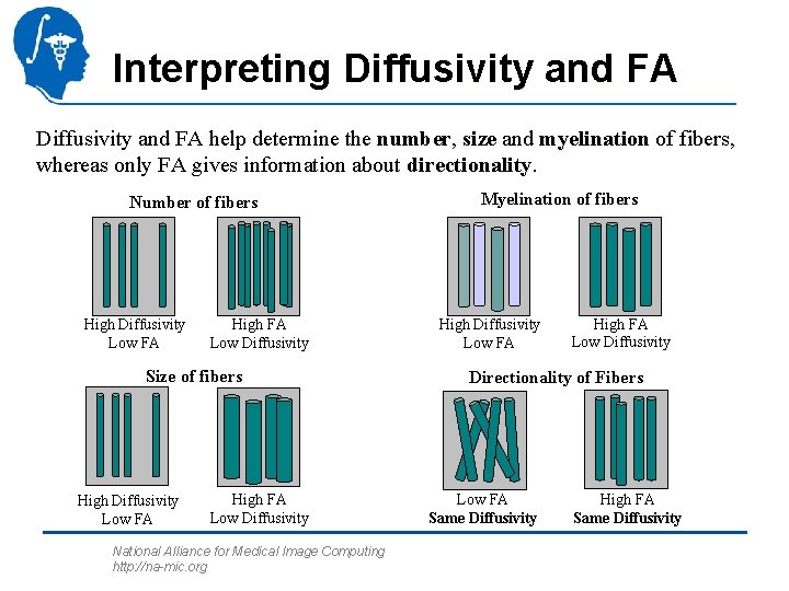 Interpreting Diffusivity and FA help determine the number, size and myelination of fibers, whereas