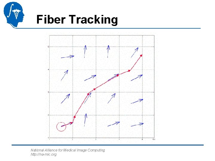 Fiber Tracking National Alliance for Medical Image Computing http: //na-mic. org 
