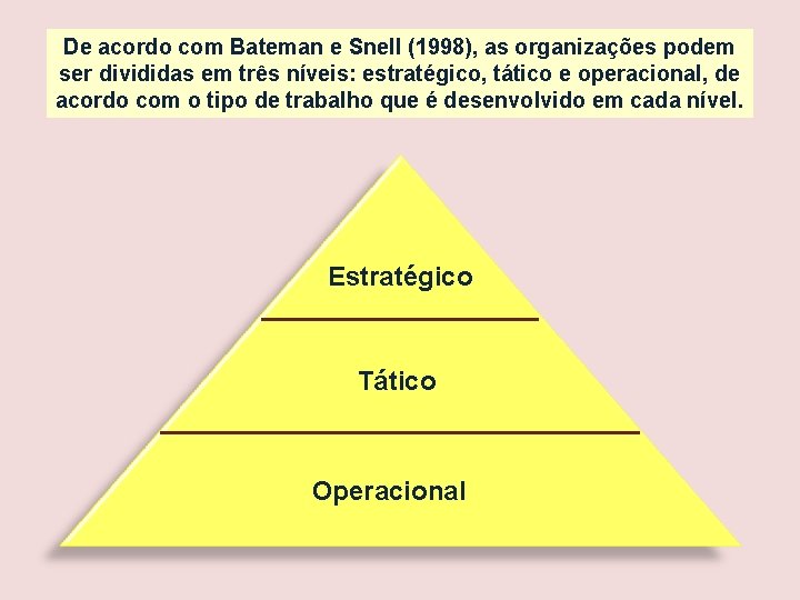 De acordo com Bateman e Snell (1998), as organizações podem ser divididas em três