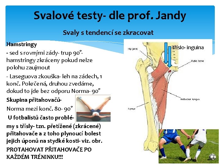 Svalové testy- dle prof. Jandy Svaly s tendencí se zkracovat Hamstringy - sed s