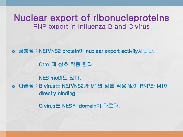 Nuclear export of ribonucleproteins RNP export in influenza B and C virus 공통점 :