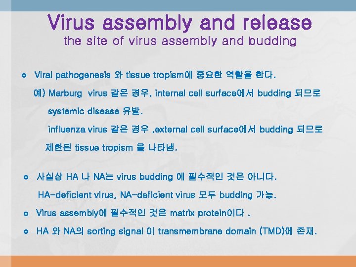 Virus assembly and release the site of virus assembly and budding Viral pathogenesis 와