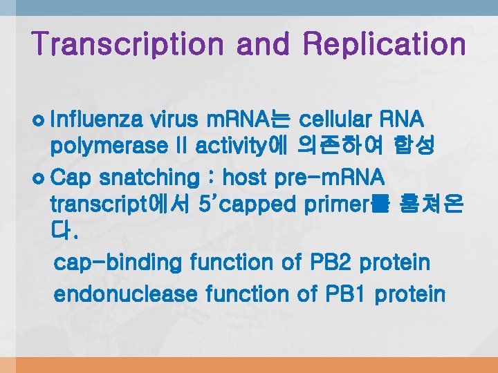 Transcription and Replication Influenza virus m. RNA는 cellular RNA polymerase II activity에 의존하여 합성