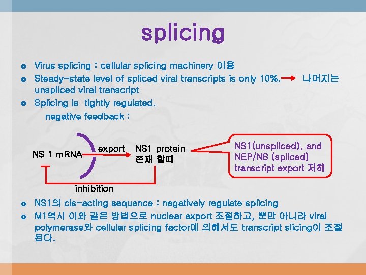 splicing Virus splicing : cellular splicing machinery 이용 Steady-state level of spliced viral transcripts