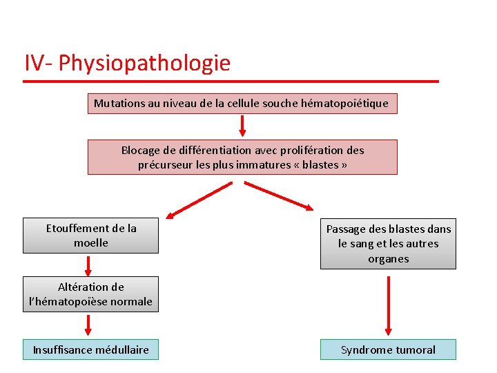 IV- Physiopathologie Mutations au niveau de la cellule souche hématopoïétique Blocage de différentiation avec