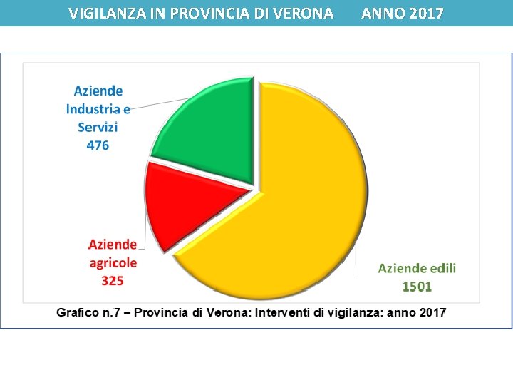 VIGILANZA IN PROVINCIA DI VERONA ANNO 2017 