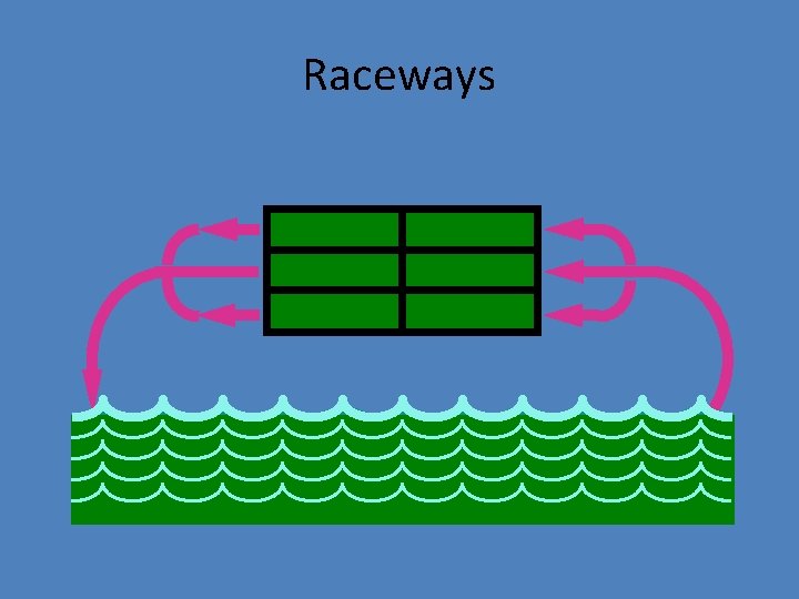 Raceways 