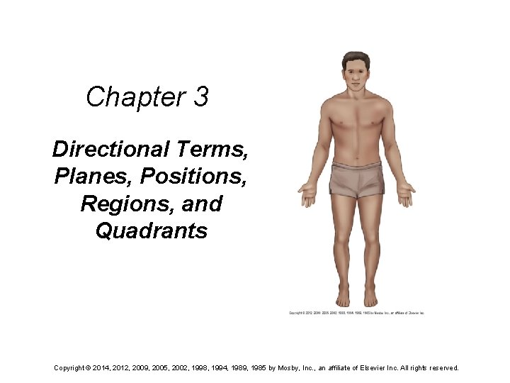 Chapter 3 Directional Terms, Planes, Positions, Regions, and Quadrants Copyright © 2014, 2012, 2009,