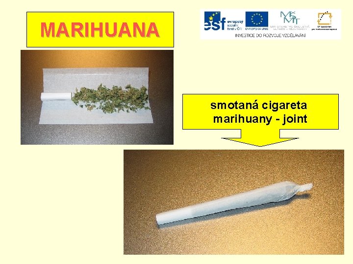 MARIHUANA smotaná cigareta marihuany - joint 