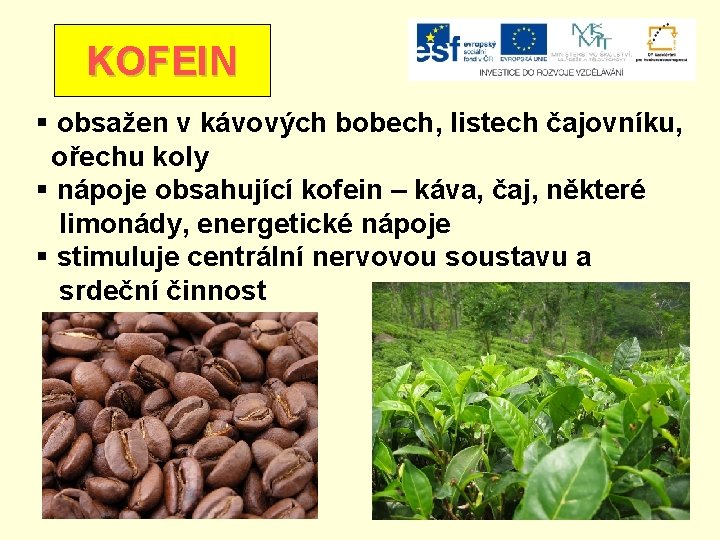 KOFEIN § obsažen v kávových bobech, listech čajovníku, ořechu koly § nápoje obsahující kofein