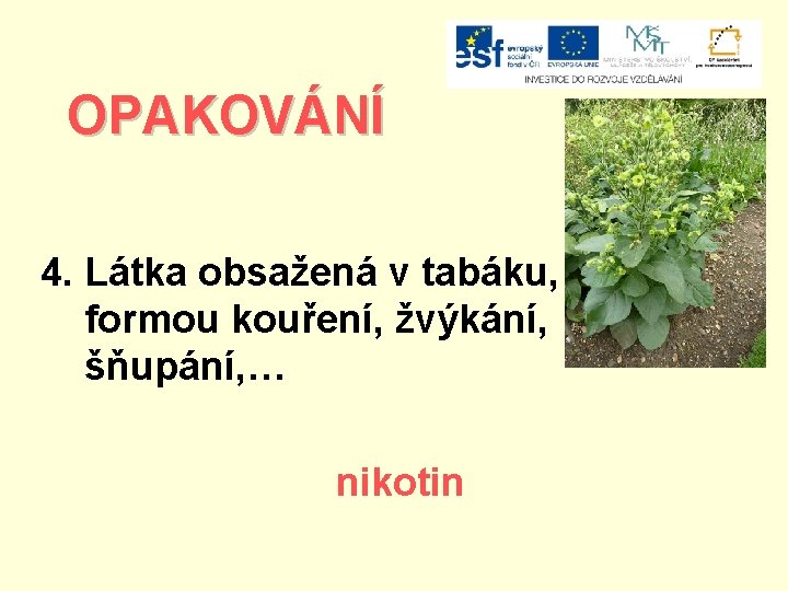 OPAKOVÁNÍ 4. Látka obsažená v tabáku, formou kouření, žvýkání, šňupání, … nikotin 