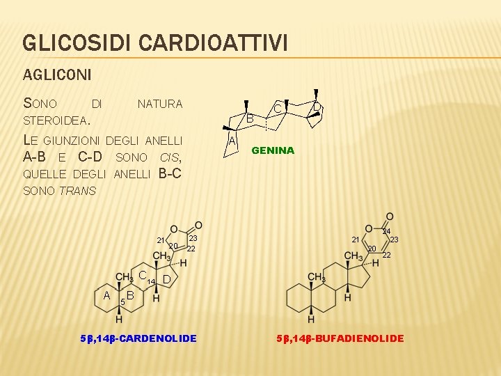 GLICOSIDI CARDIOATTIVI AGLICONI SONO DI NATURA STEROIDEA. B LE GIUNZIONI DEGLI ANELLI A-B E