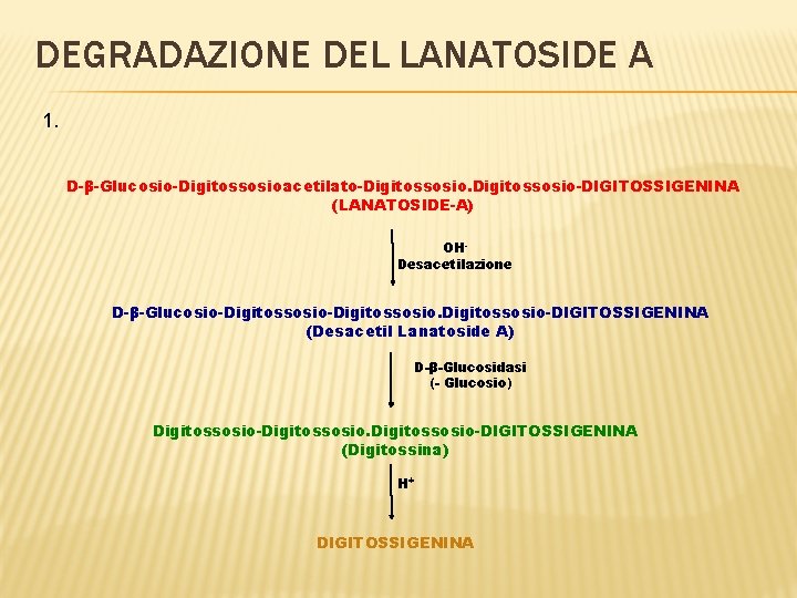 DEGRADAZIONE DEL LANATOSIDE A 1. D-β-Glucosio-Digitossosioacetilato-Digitossosio-DIGITOSSIGENINA (LANATOSIDE-A) OHDesacetilazione D-β-Glucosio-Digitossosio-DIGITOSSIGENINA (Desacetil Lanatoside A) D-β-Glucosidasi (-