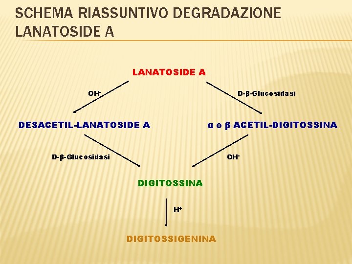 SCHEMA RIASSUNTIVO DEGRADAZIONE LANATOSIDE A OH- D-β-Glucosidasi DESACETIL-LANATOSIDE A α o β ACETIL-DIGITOSSINA D-β-Glucosidasi