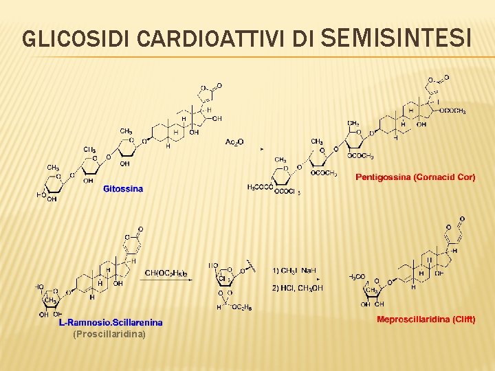 GLICOSIDI CARDIOATTIVI DI SEMISINTESI (Proscillaridina) 