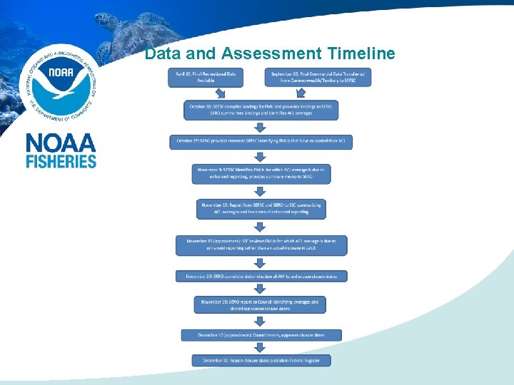 Data and Assessment Timeline 