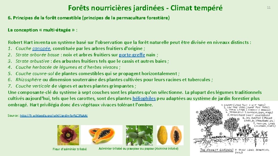 Forêts nourricières jardinées - Climat tempéré 6. Principes de la forêt comestible (principes de