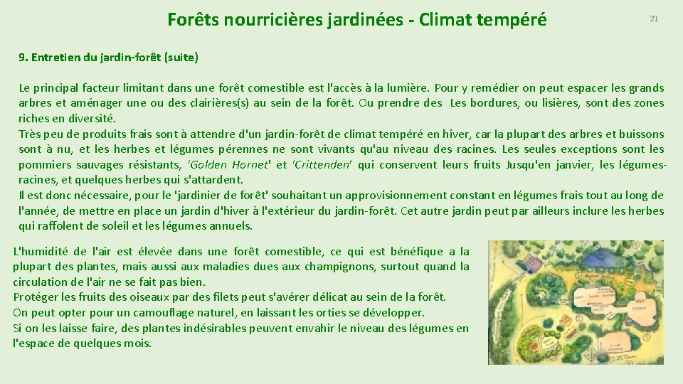 Forêts nourricières jardinées - Climat tempéré 21 9. Entretien du jardin-forêt (suite) Le principal