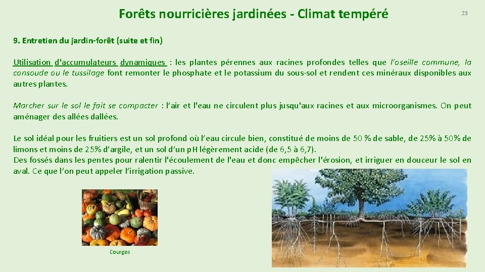 Forêts nourricières jardinées - Climat tempéré 23 9. Entretien du jardin-forêt (suite et fin)