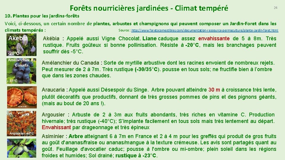 Forêts nourricières jardinées - Climat tempéré 24 10. Plantes pour les jardins-forêts Voici, ci