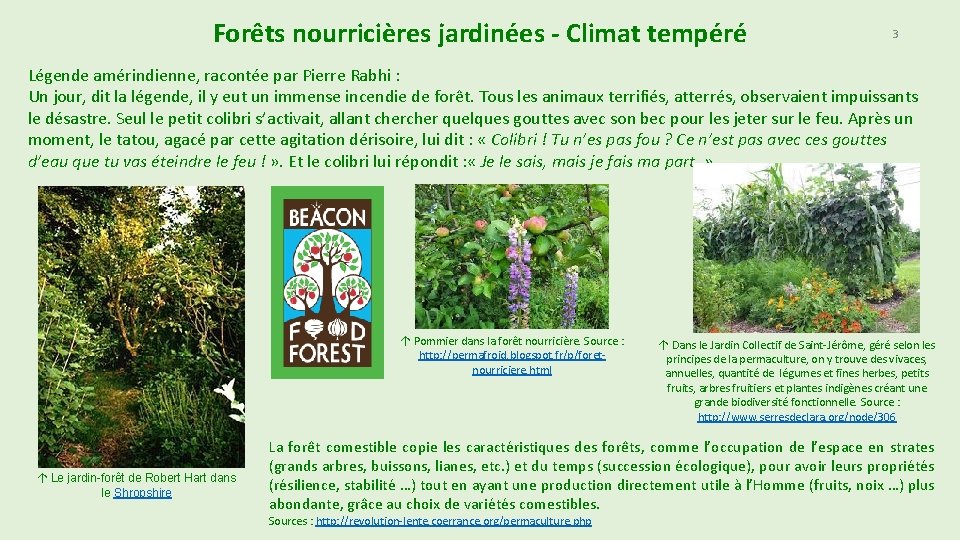 Forêts nourricières jardinées - Climat tempéré 3 Légende amérindienne, racontée par Pierre Rabhi :