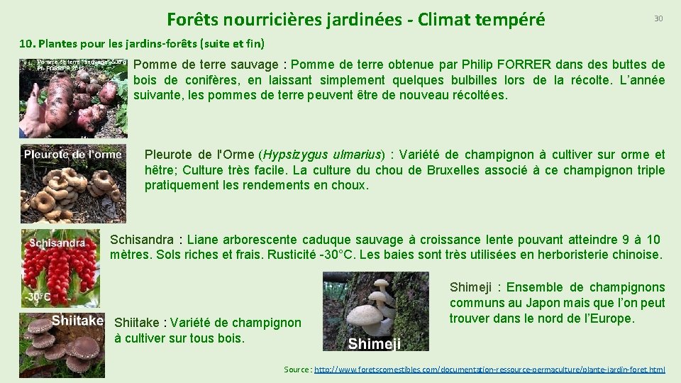 Forêts nourricières jardinées - Climat tempéré 30 10. Plantes pour les jardins-forêts (suite et