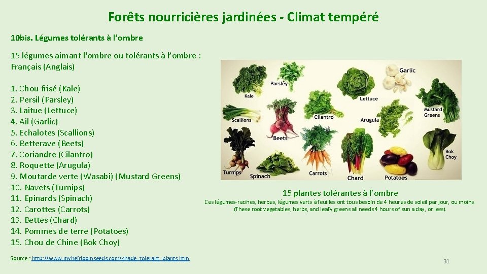 Forêts nourricières jardinées - Climat tempéré 10 bis. Légumes tolérants à l’ombre 15 légumes