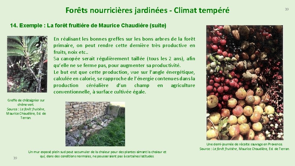 Forêts nourricières jardinées - Climat tempéré 39 14. Exemple : La forêt fruitière de