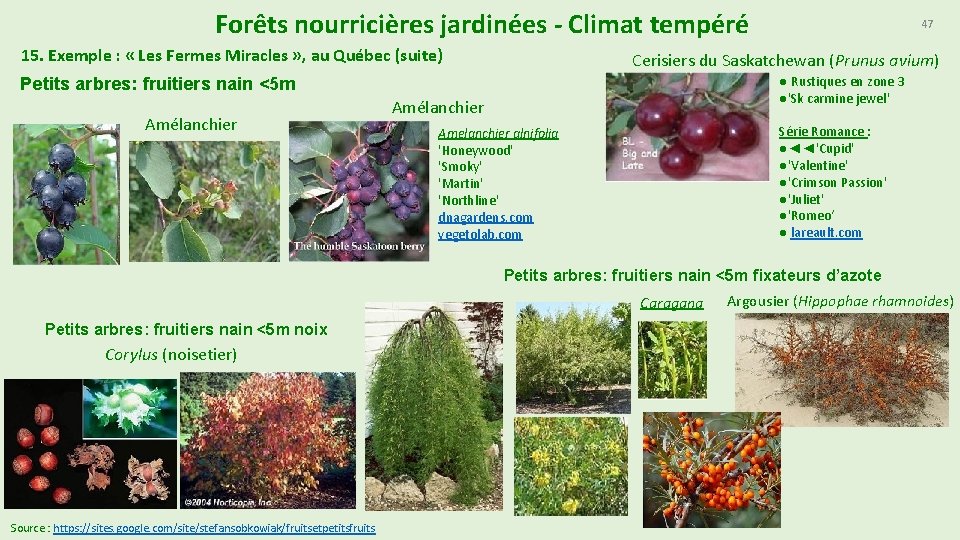 Forêts nourricières jardinées - Climat tempéré 15. Exemple : « Les Fermes Miracles »